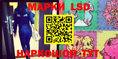 МДПВ Добрянка