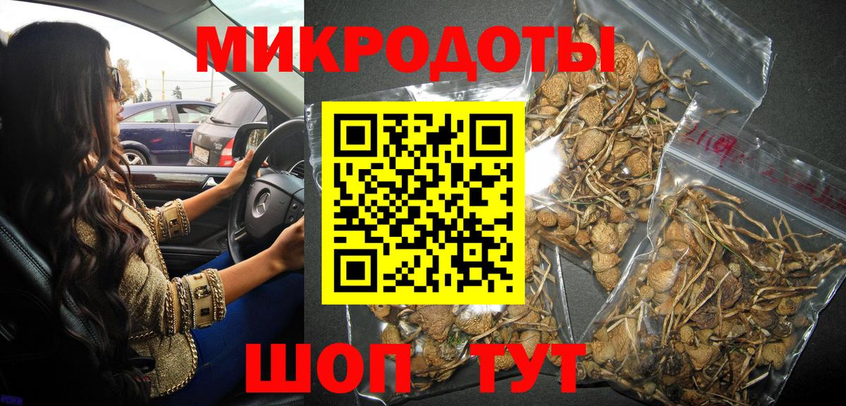 Псилоцибиновые грибы GOLDEN TEACHER Майкоп