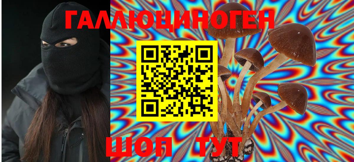 Майкоп  Галлюциногенные грибы ЛСД  Галлюциногенные грибы GOLDEN TEACHER  Вход с VPN 
