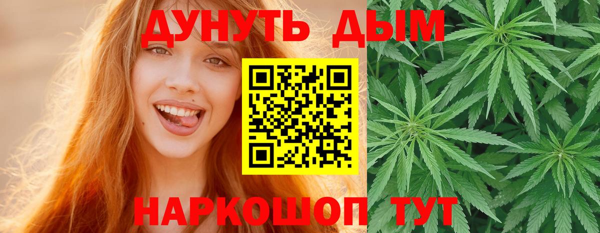 Бошки Шишки семена  Канабис ГИДРОПОН  Майкоп  Конопля гибрид  Вход с VPN 